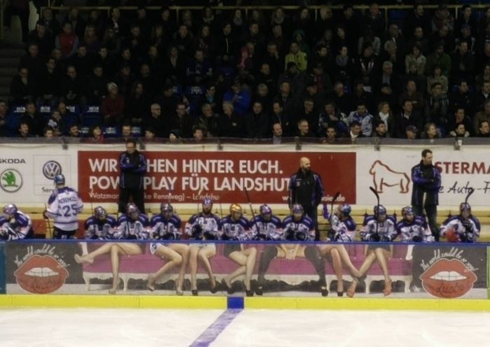 Германский хокейный клуб «Ландсхут Каннибалс» спонсирует владелица борделя (4 фото)