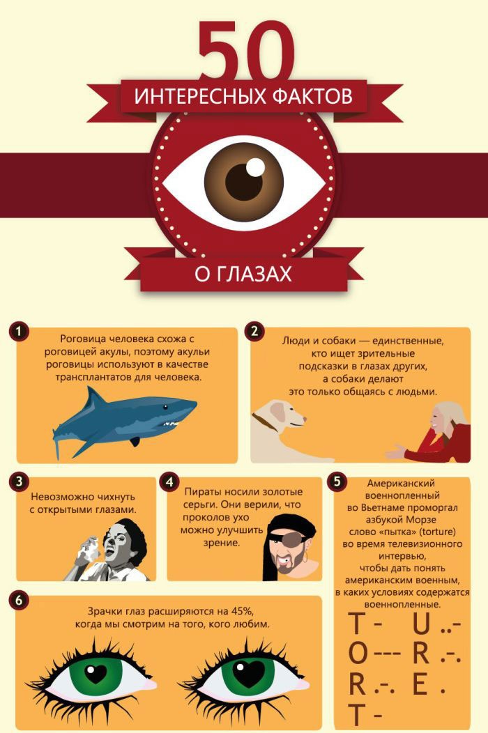 50 фактов о глазах