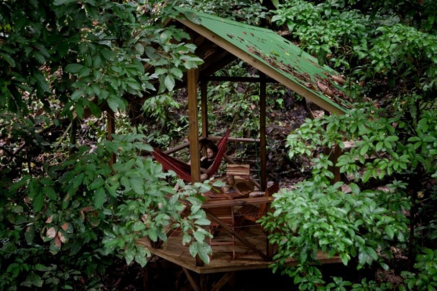 Небольшая гостиница в кроне деревьев (32 фото)