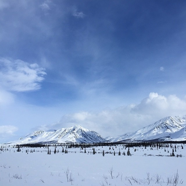 Аляска глазами непрофессиональных фотографов (23 фото)