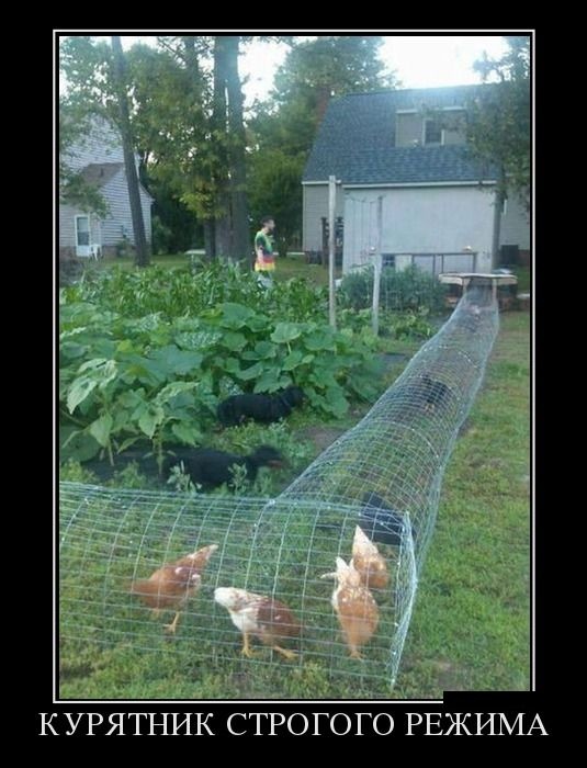 Подборка демотиваторов 01.04.2015 (25 картинок)