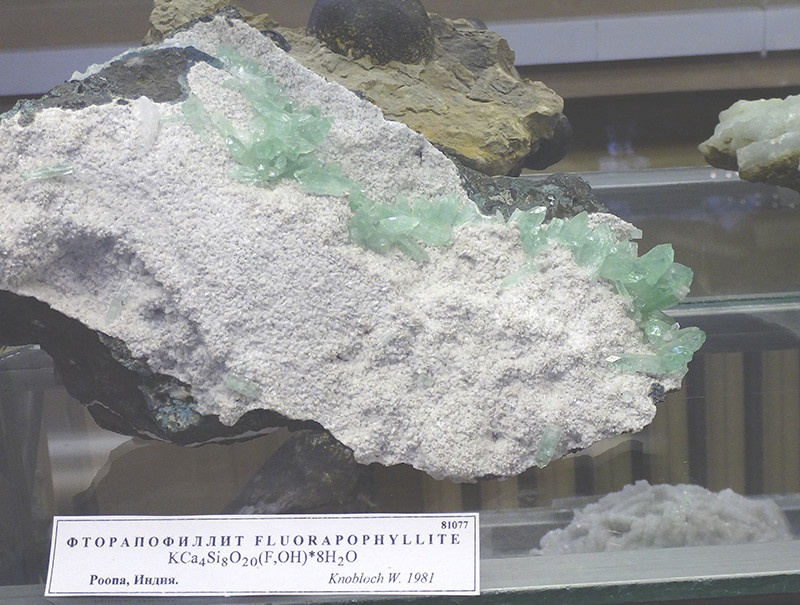 Как выглядят некоторые минералы и ископаемые (34 фото)
