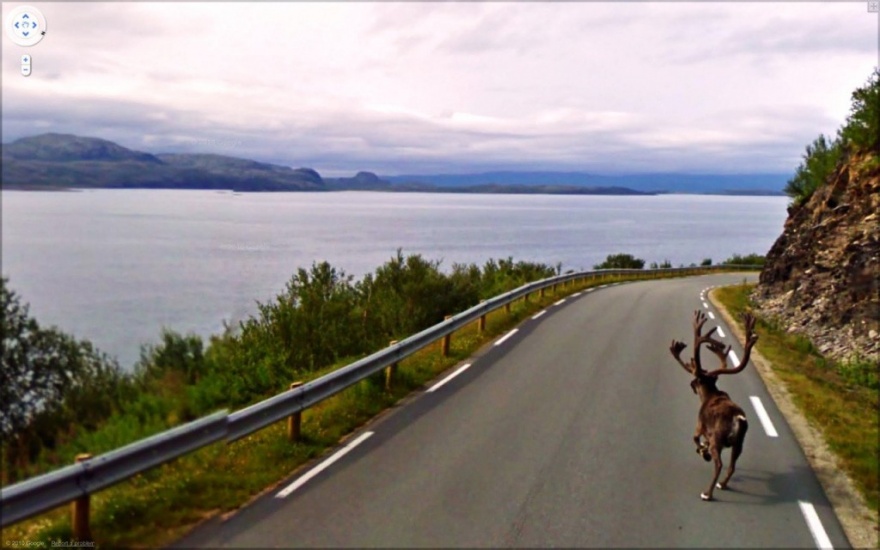 Странные, интересные и забавные фото от Google Street View (20 фото)