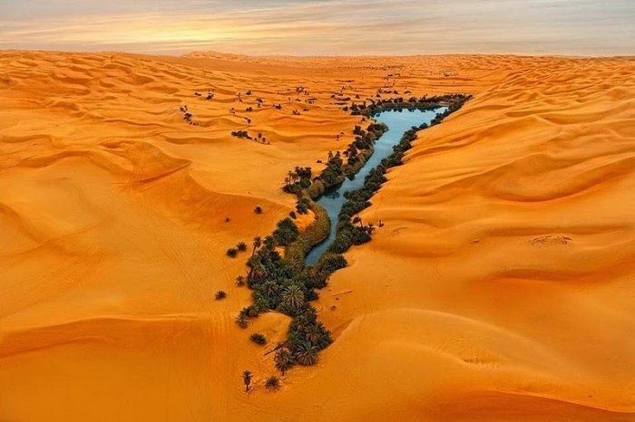 Красивые фото ливийского оазиса (10 фото)