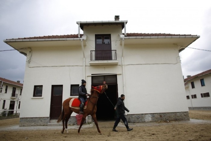 Как лечат лошадей на одном из турецких ипподромов (25 фото)