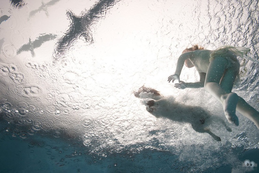 Мастерство подводного портрета от Зены Холлоуэй (10 фото)