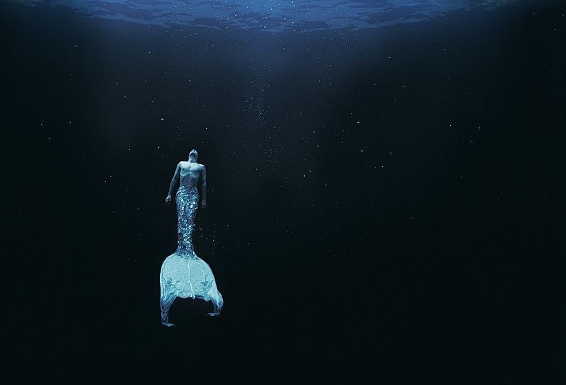 Мастерство подводного портрета от Зены Холлоуэй (10 фото)