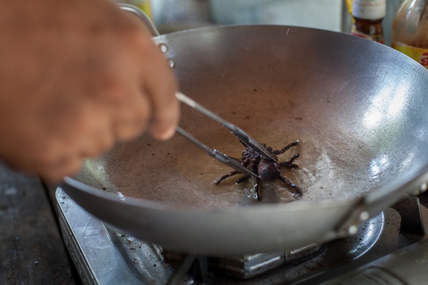 Как охотятся на тарантулов в Камбодже (10 фото)