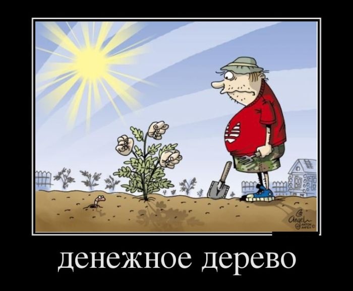 Подборка смешных демотиваторов 05.05.2015 (28 фото)
