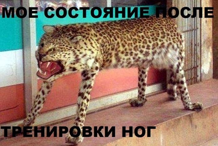 Подборка прикольных картинок 14.05.2015 (89 фото)