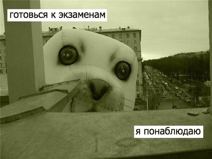 Подборка прикольных картинок 14.05.2015 (89 фото)