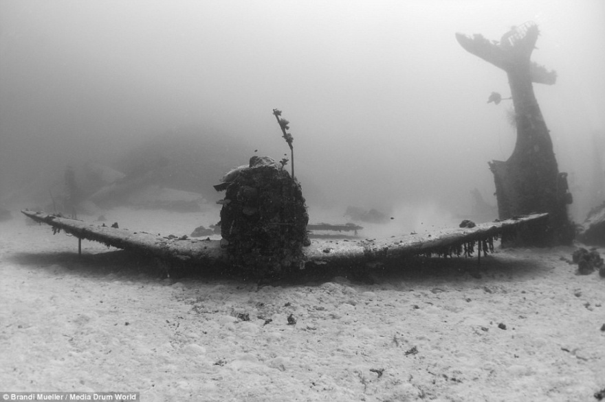 Огромное кладбище военных самолетов на дне Тихого океана (17 фото)