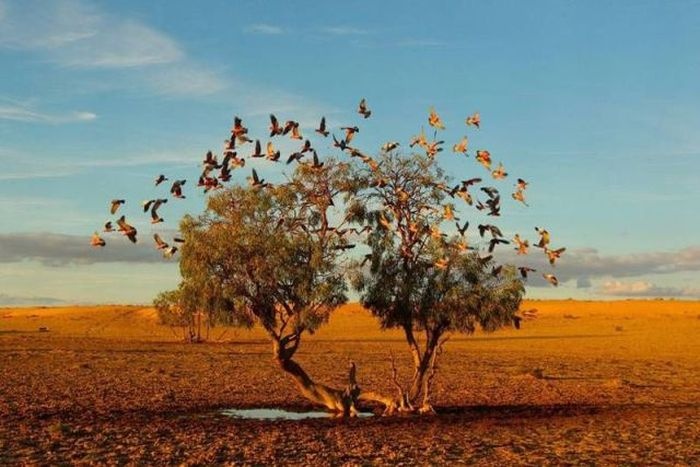 Подборка прикольных картинок 14.05.2015 (89 фото)