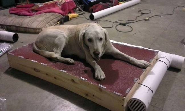Необычный лежак для собаки (8 фото)