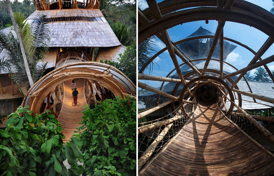 Креативные дома из бамбука (12 фото)
