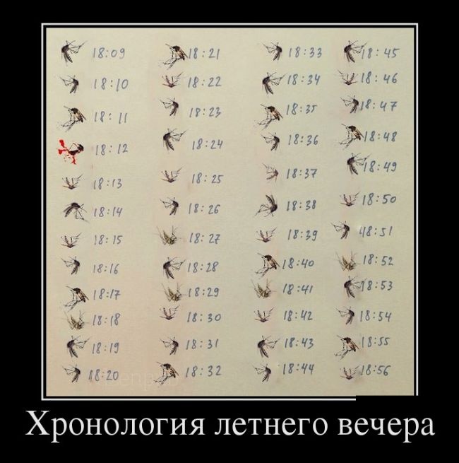 Подборка смешных демотиваторов 28.05.2015 (27 фото)