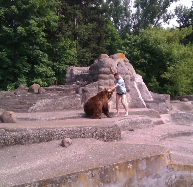 Происшествие в зоопарке Варшавы (3 фото)