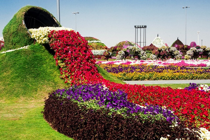 Один из самых больших цветочных парков в мире (19 фото)