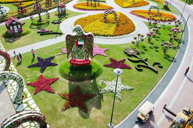 Один из самых больших цветочных парков в мире (19 фото)