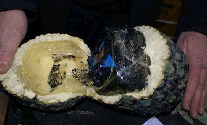 Попытка провезти 200 кг кокаина, спрятав его в ананасах (3 фото)