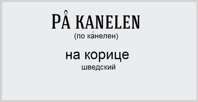 Как называют крайнюю степень опьянения в различных языках мира (15 картинок)