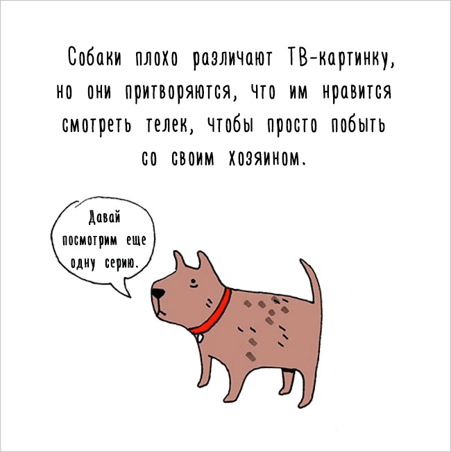 Забавные комиксы 07.06.2015 (24 картинки)