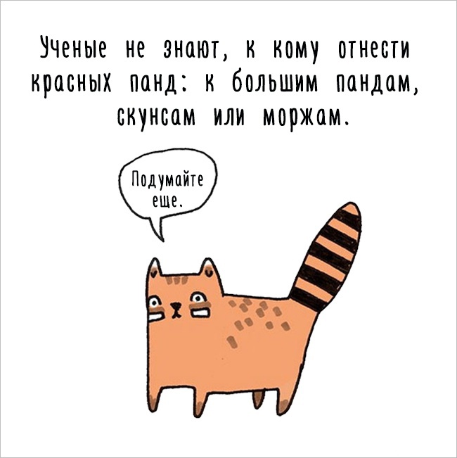 Забавные комиксы 07.06.2015 (24 картинки)
