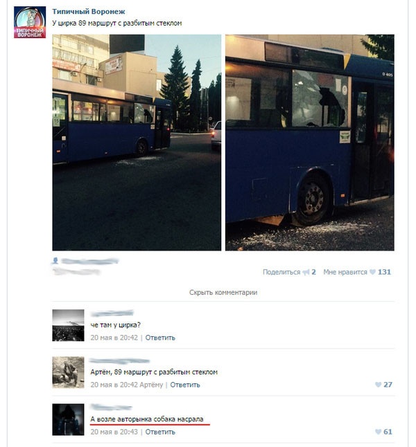 Подборка смешных комментариев из соцсетей 09.06.2015 (21 скриншот)