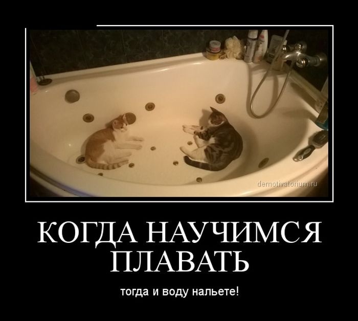 Подборка смешных демотиваторов 11.06.2015 (25 картинок)