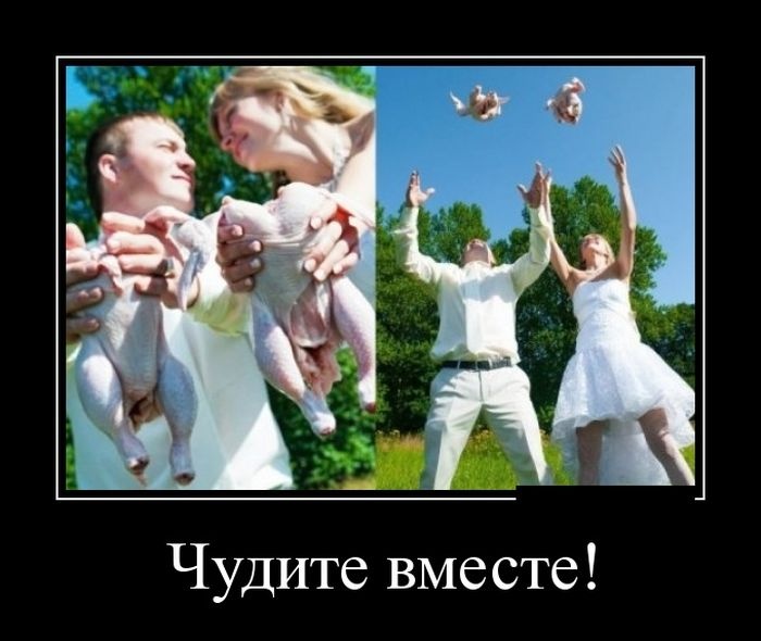 Подборка смешных демотиваторов 11.06.2015 (25 картинок)