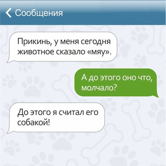 Забавные СМС от владельцев домашних животных (15 картинок)