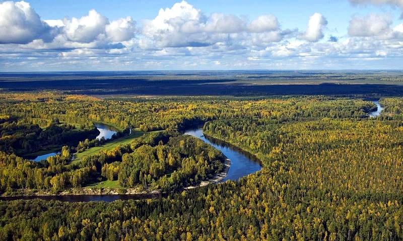 Россия - это не только березы и медведи!