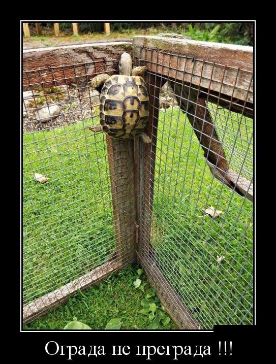 Подборка демотиваторов 15.07.2015 (30 фото)