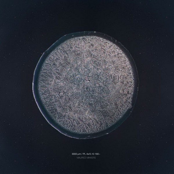 Слезы под микроскопом (19 фото)