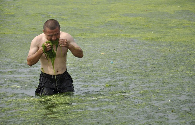 Самое большое скопление водорослей в Китае