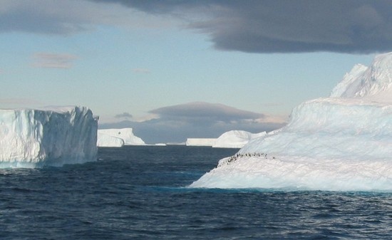Загадочная Антарктика (33 фото)