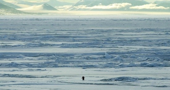 Загадочная Антарктика (33 фото)