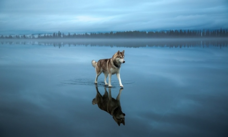 15 необыкновенных фотографий