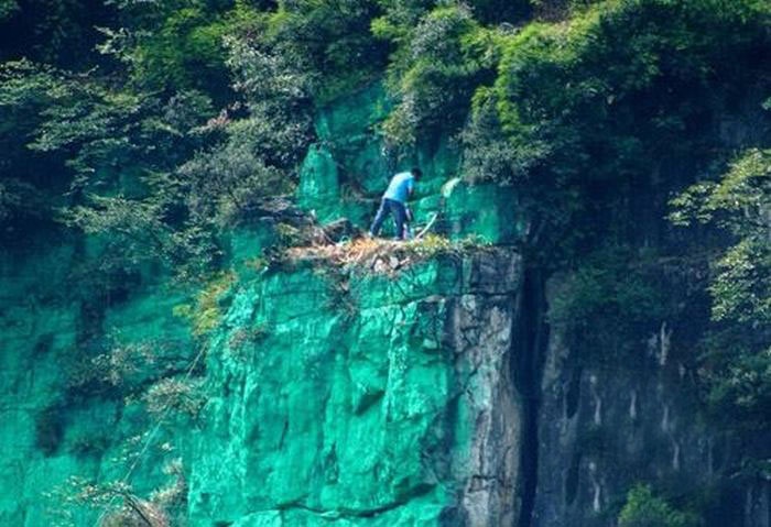 Зеленый цвет горы – это по феншую
