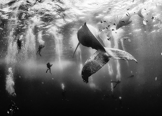 Фотографии победителей конкурса путешественников National Geographic