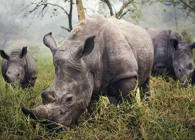 Фотографии победителей конкурса путешественников National Geographic