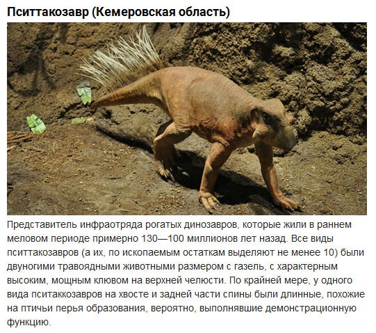 Динозавры, некогда населявшие территорию России (10 фото)