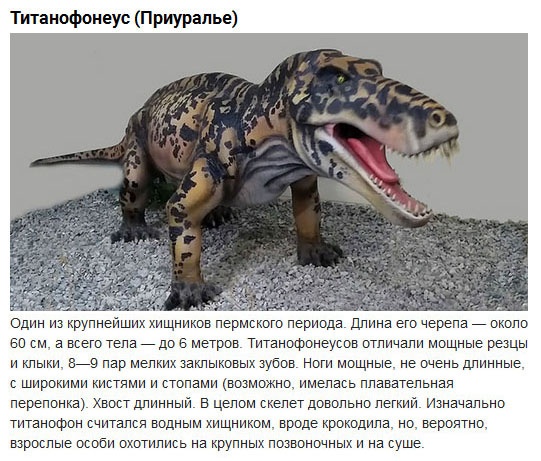 Динозавры, некогда населявшие территорию России (10 фото)
