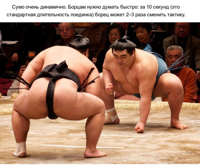 Факты о японской борьбе-тяжеловесов (10 фото)