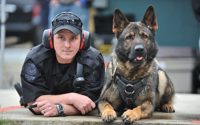 Правила для полицейской собаки