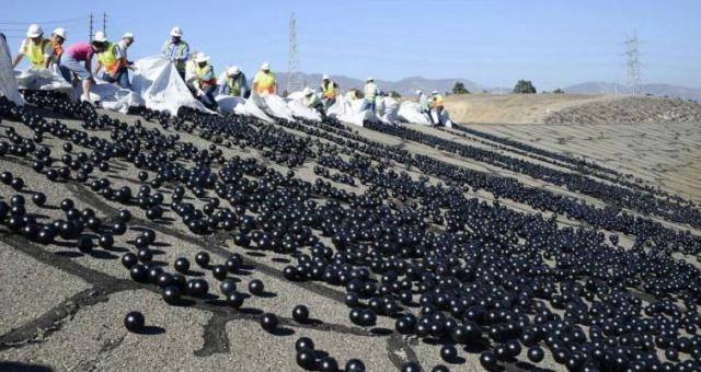 Выпустили 96 миллионов пластиковых шаров для защиты водохранилища