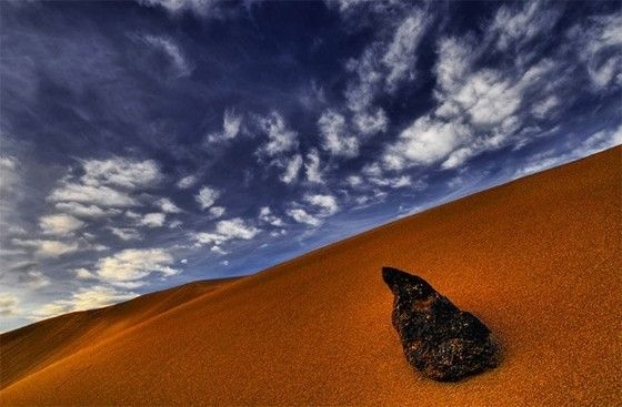 В пустыне есть жизнь
