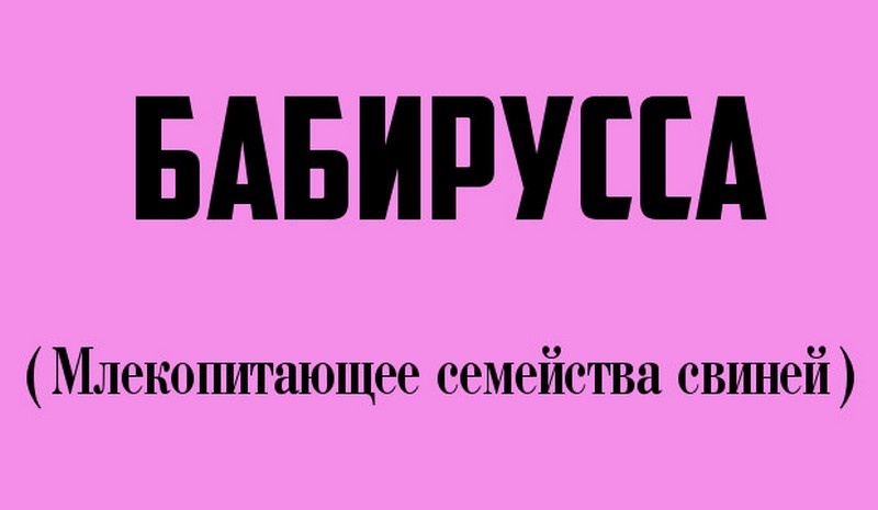 Необычные слова, которые есть в русском языке