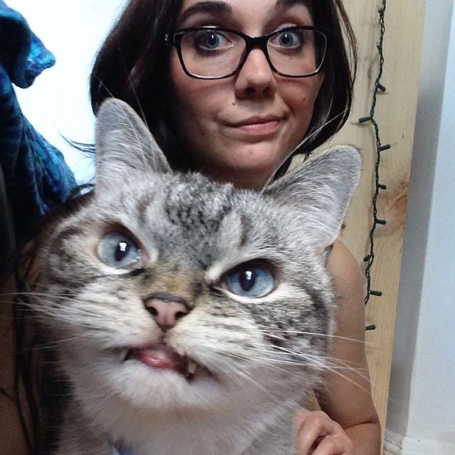 Звезда Instagramа – кот-вампир (19 фото)