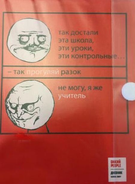 Интернет-мемы на школьных дневниках (4 фото)